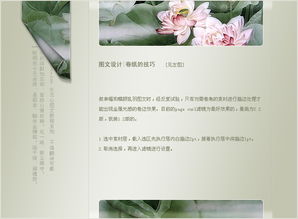 PS圖文中常用元素的設(shè)計(jì)方法 打造視覺吸引力